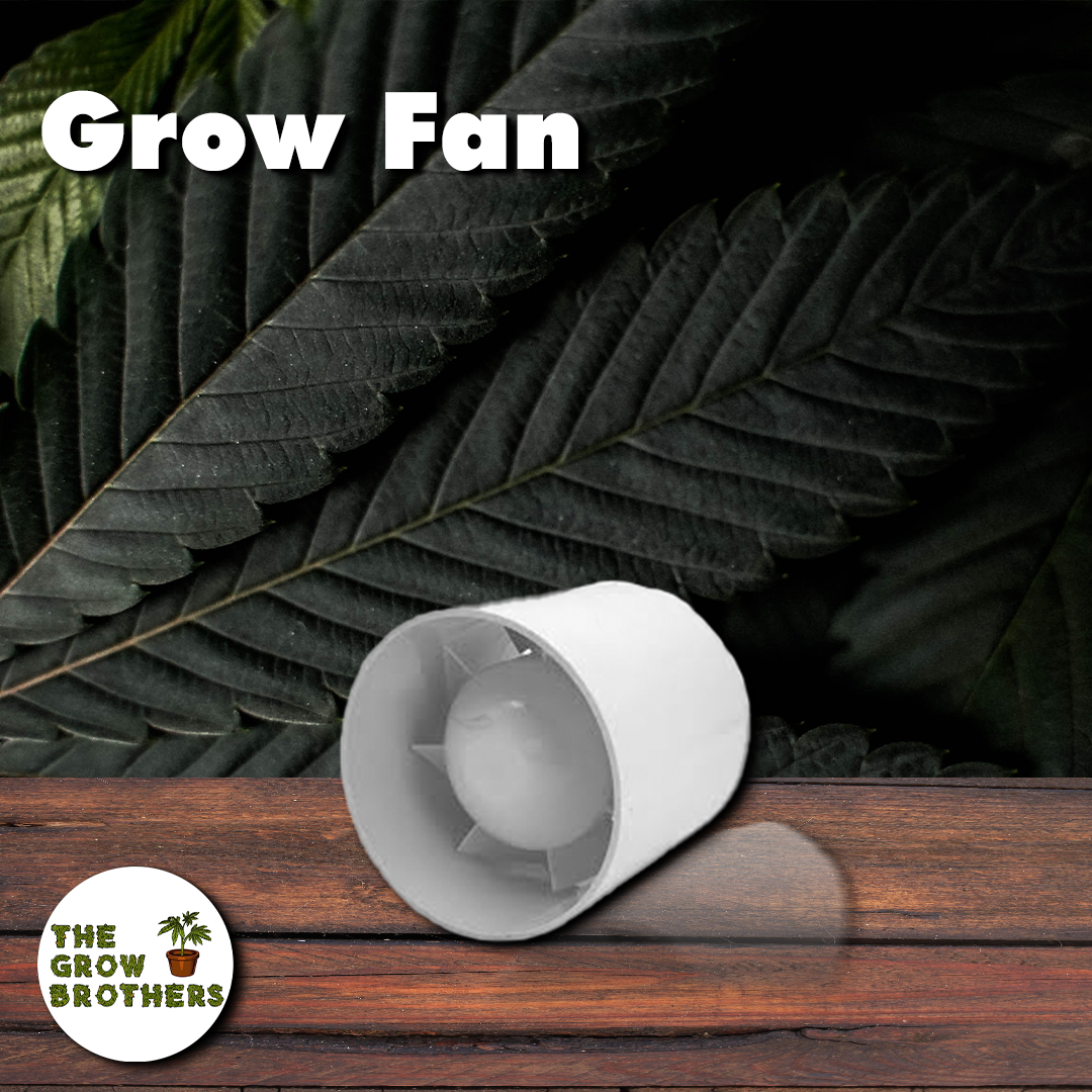 Extractor Lineal Euro Fan The Grow Brothers Perú
